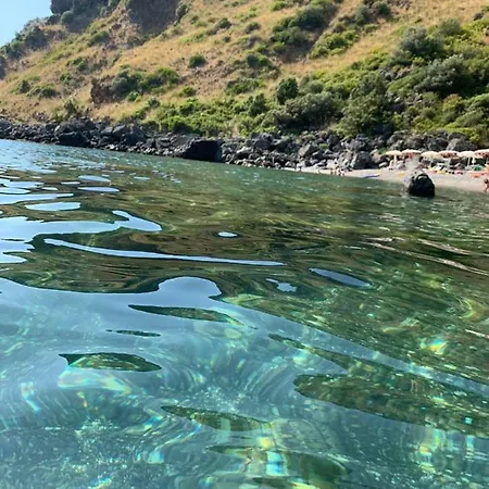 Velaggio Di Delfini San Nicola Arcella