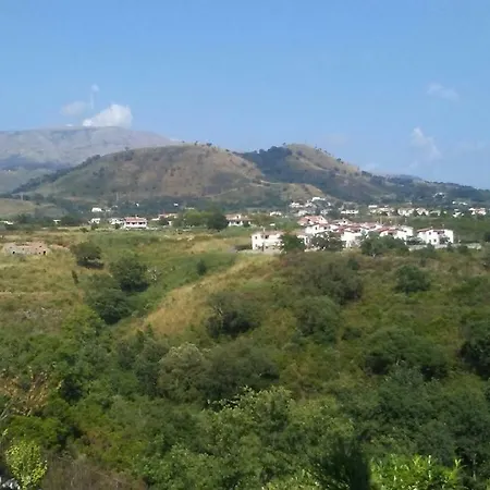 Velaggio Di Delfini * San Nicola Arcella