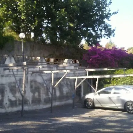 Velaggio Di Delfini San Nicola Arcella